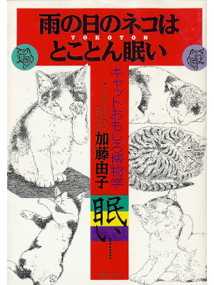 Yoshiko Kato [ Ame no Hi no Neko wa Tokoton Nemui ] JPN