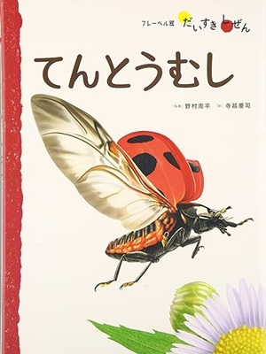 Shuhei Nomura [ Ladybug ] Picture Book JPN