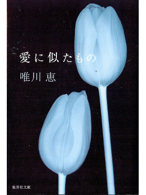 Kei Yuikawa [ Ai ni Nitamono ] Fiction JPN Shueisha Bunko