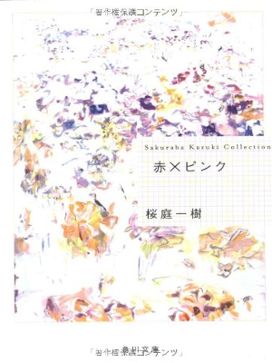 桜庭一樹 [ 赤×ピンク ] 小説 角川文庫 2008