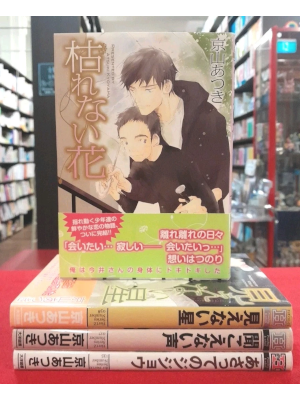 京山あつき [ BL ボーイズラブコミック 4冊セット ] コミック BL