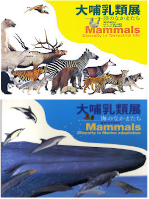Asahi [ Mammals Diversity in Terrestrial Life and Marine Adapti