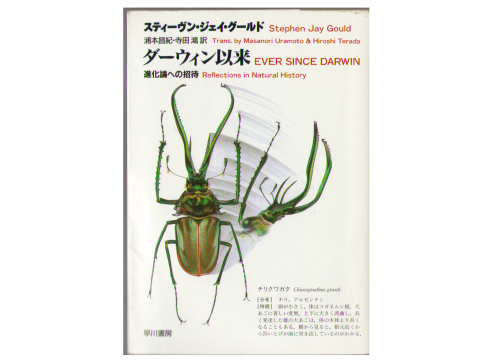 Stephen Jay Gould [ Ever Since Darwin ] JPN Bunko