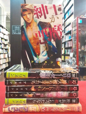 Earithen [ Josei Romance Manga Bulk of 7 ] JPN JOSEI TL