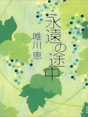 Kei Yuikawa [ Eien no Tochu ] Fiction JPN 2003 HB