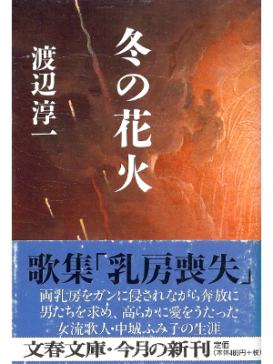 Junichi Watanabe [ Fuyu no Hanabi ] Fiction JPN