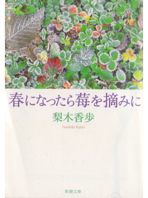 Kaho Nashiki [ Haru ni Nattara Ichigo wo Tsumi ni ] Essay JPN Bunko