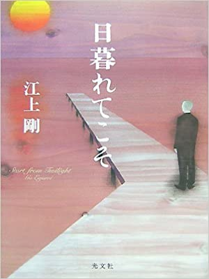 Go Egami [ Higuretekoso ] Fiction JPN 2007 HB