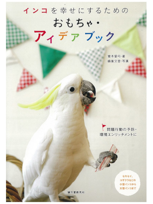 Ayumi Aoki [ Inco wo Shiawasenisurutameno Omocha Idea Book ] JPN