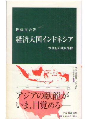 Yuri Sato [ Keizai Taikoku Indnesia ] JPN