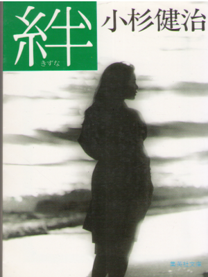 Kenji Kosugi [ Kizuna ] Fiction JPN