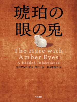 Edmund de Waal [ The Hare with Amber Eyes ] Non Fiction JPN HB