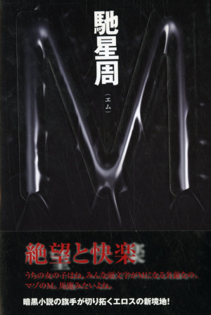Seisyu Hase [ M ] Fiction JPN HB