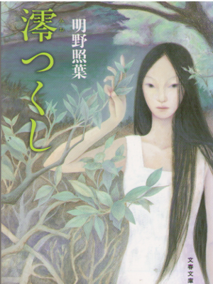 Teruha Akeno [ Mio Tsukushi ] Fiction JPN Bunko