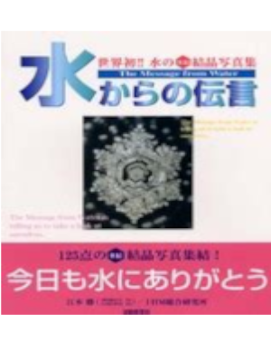 Masaru Emoto [ The Message from Water ] JPN 1999 Large Book Color