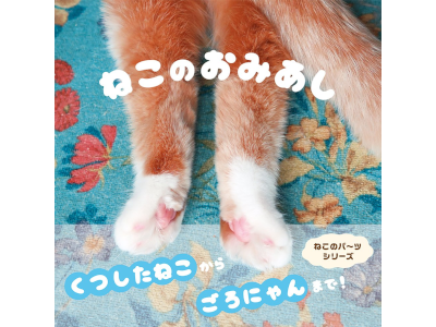 Pie International [ NEKO NO OMIASHI ] Photo Book JPN Cats