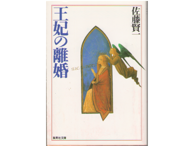 Kenichi Sato [ Houhi no Rikon ] Novel /　JPN
