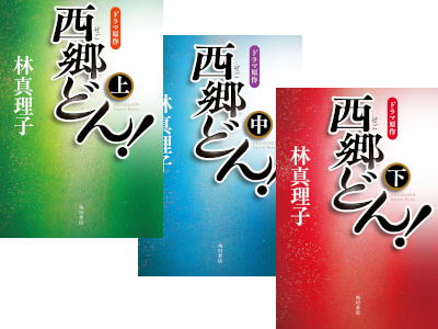 Mariko Hayashi [ SAIGO Don! v.1.2.3 COMPLETE ] Fiction JPN SB