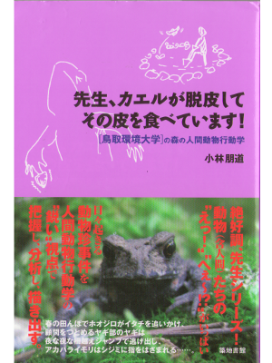 小林朋道 [ 先生、カエルが脱皮してその皮を食べています! ] 動物学 単行本40