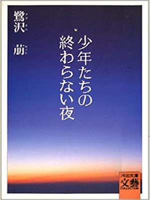 Megumu Sagisawa [ Shonentachi no Owaranai Yoru ] Fiction JP 1993