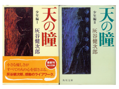 Kenjiro Haitani [ Ten no Hitomi -Shonen hen 1&2- ] Fiction / JPN