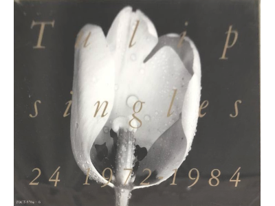 Tulip [ Singles 24 1972-1884 ] J-POP CD 1990