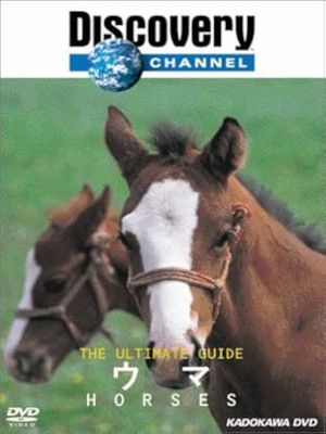 [ Discovery Channel The Ultimate Guide HORSES ] DVD NTSC JP 2002