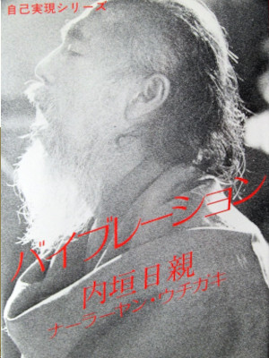 Nissin Uchigaki Narayan Uchigaki [ Vibration ] JPN 1982 *RARE