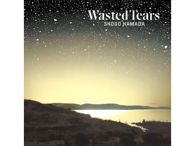 Shogo Hamada [ WASTED TEARS ] CD J-POP 2003