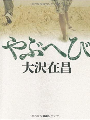 Arimasa Osawa [ Yabuhebi ] Fiction JPN 2010 HB